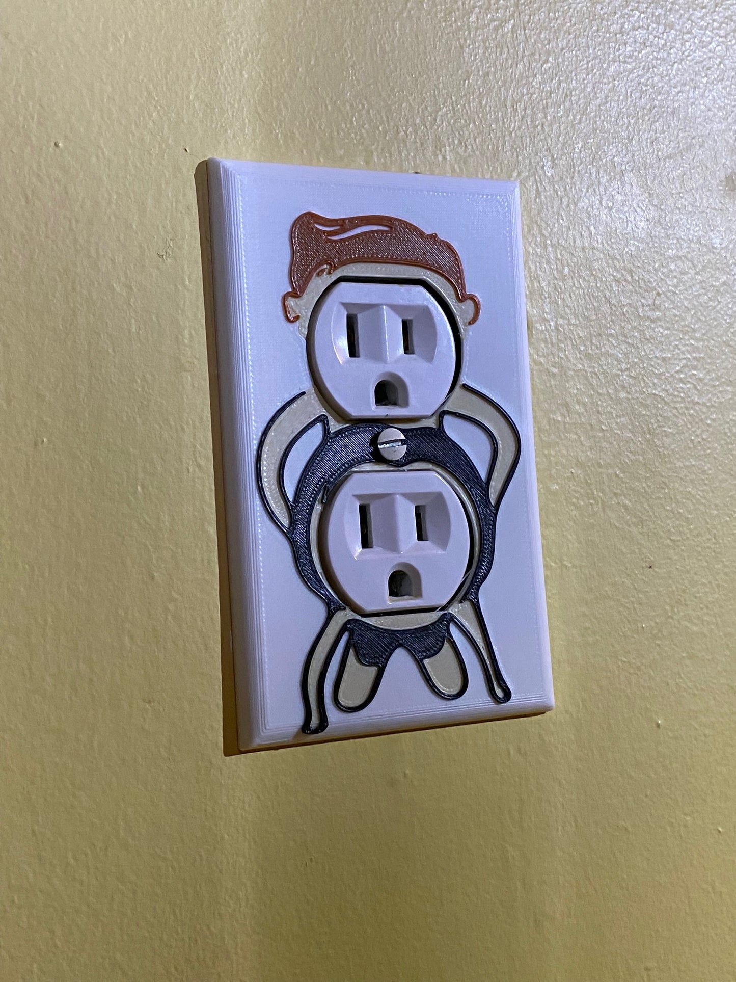 Funny Outlet cover for electrical outlet